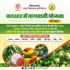 Cluster Mei Bagwani Ki Yojana-II