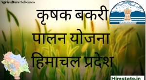 Krishak Bakri Palan Yojna