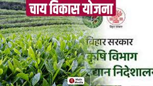 Chai Vikas Yojana