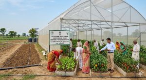 “Protected Cultivation” Component of “Establishment of New Gardens (Area Expansion)” Scheme