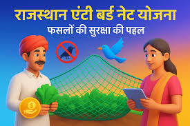 Anti Bird Net