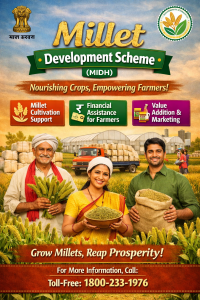 Millet Development Scheme