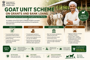 Goat Unit Scheme On Grants And Bank Loans