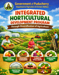 Integrated Horticultural Development Program Through Diversification of Agriculture