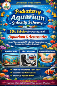 Grant of 50% Subsidy for the Purchase of Aquarium and Its Accessories under “Development of Freshwater Aquaculture and Setting up of Aquarium, Ornamental Fish Breeding Centre”