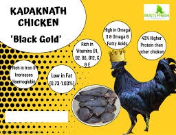 Supply of Kadaknath Chicks on Subsidy