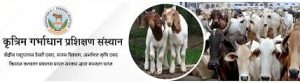 Training on Artificial Insemination for Self-Employment