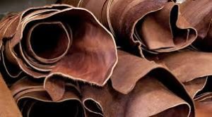 Leather Training Scheme – Rajasthan
