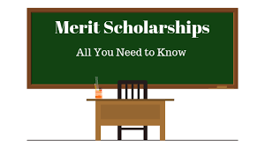 Merit Scholarship (Top 3 UG Students)