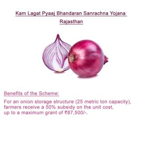 Kam Lagat Pyaaj Bhandaran Sanrachna