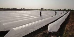 Plastic Tunnel (Lo-Tunnel)