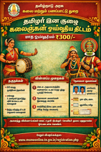 Pension Scheme – Folk Artist