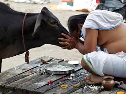 Vadh Se Bachaye Govansh Ko Sahayata Yojana