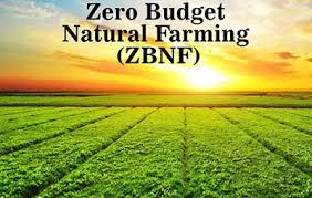 Zero Budget Natural Farming