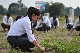 Shri Varun Panwar Memorial Award for B.Sc. Agriculture (2nd Year, 3rd Year, and 4th Year) Students