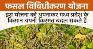 Madhya Pradesh Fasal Vividhikaran (Crop Diversification) Encouragement Scheme