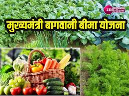 Mukhyamantri Bagwani Mission: Aam Vikas Yojana