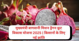 Mukhyamantri Bagwani Mission: Dragon Fruit Vikas Yojana