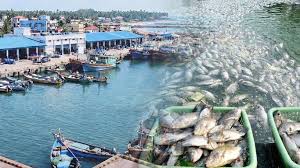 PMMSY: Upgradation of existing fishing vessels for export Competency – Gujarat