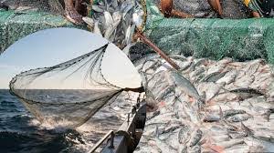 PMMSY: Support for Acquisition of Deep Sea Fishing Vessels for Traditional Fishermen – Gujarat