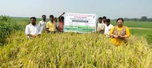 Annapurna Scheme: Seed Multiplication Programme
