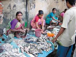 Financial Assistance to the Fish Vendors Registered with the Directorate of Fisheries to Purchase the Accessories Required for Fish Vending