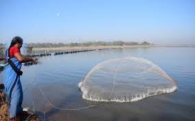 Integrated Fisheries Scheme