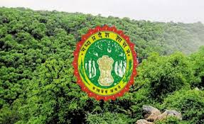 Payment in the Owner-Occupied / Public Forestry Case