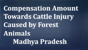 Compensation Amount Towards Cattle Injury Caused by Forest Animals