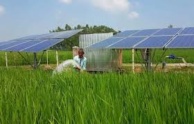 Solar Based Hydroponic System