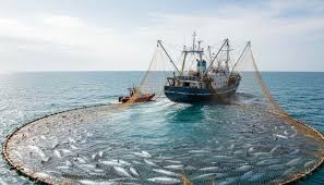 Financial Assistance for Purchase of Barrier Net and its Accessories