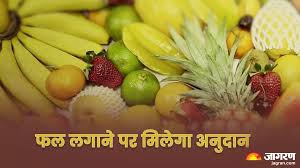 Fal Podharopan Yojana