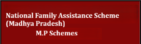 National Family Assistance Scheme (Madhya Pradesh)