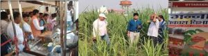 Sugarcane Development Scheme
