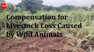 Compensation for Livestock Loss Caused by Wild Animals